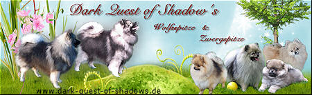 Verein für Deutsche Spitze e.V. - Zergspitze Dark Quest of Shadows