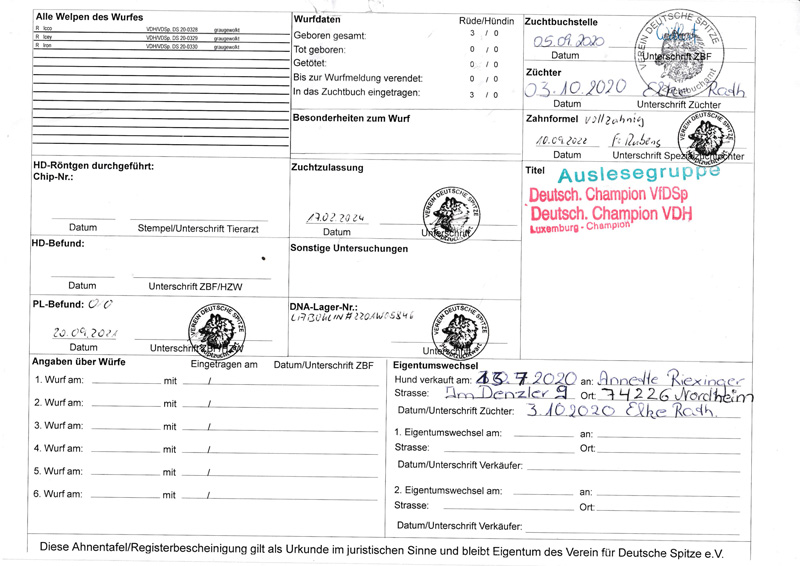 IRON VON DER RATHSZUNFT