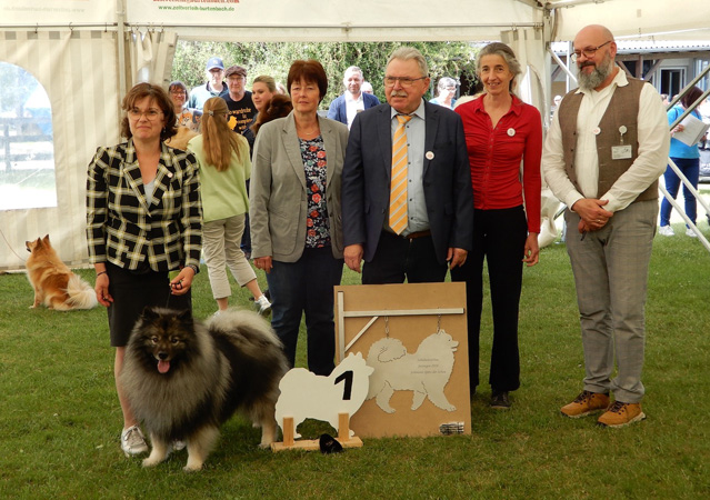 Jubilumssieger 2024 - schnster Spitze der Ausstellung