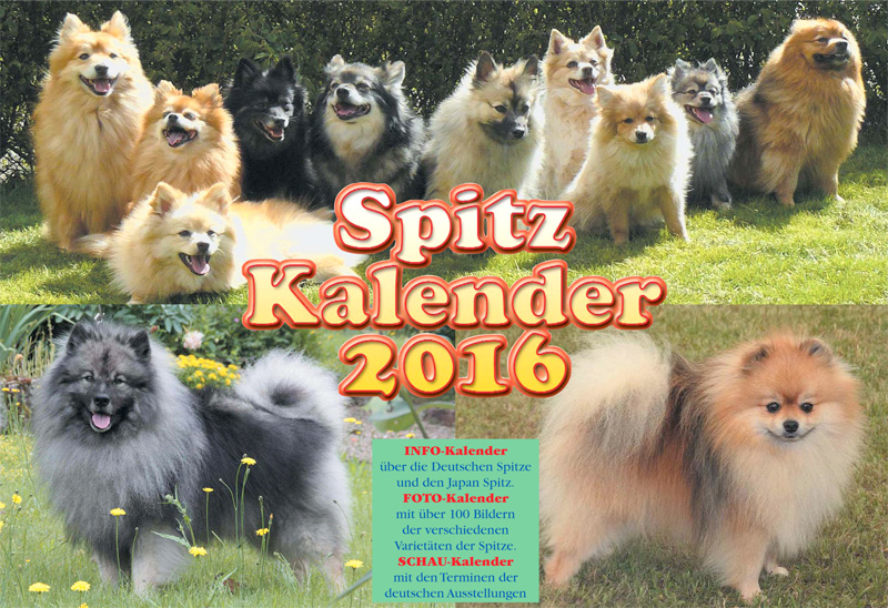 Spitze Kalender 2016
