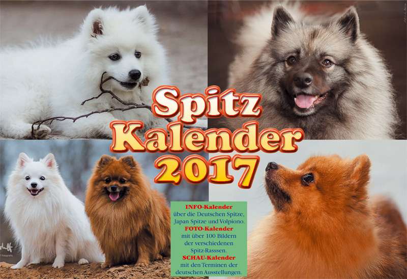 Spitze Kalender 2017