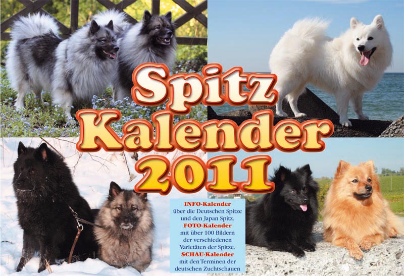Spitze Kalender 2011