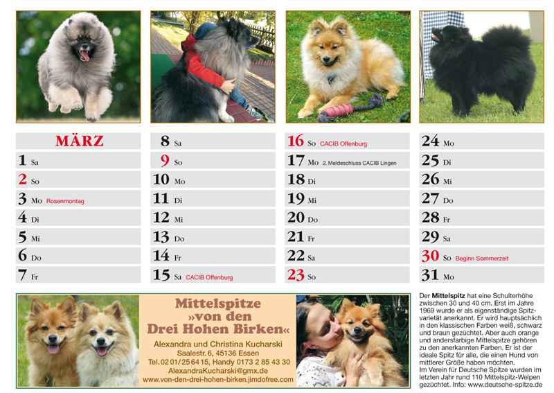 Spitz Kalender 2025