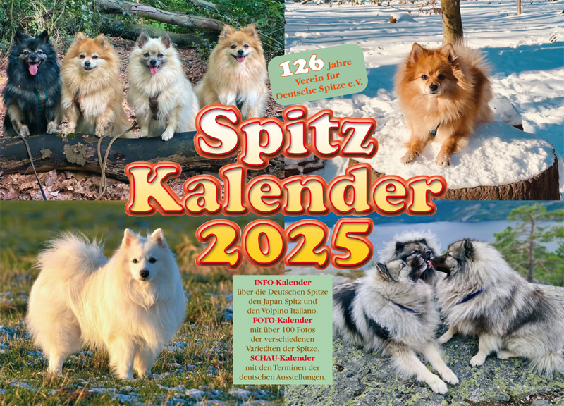 Spitz Kalender 2025