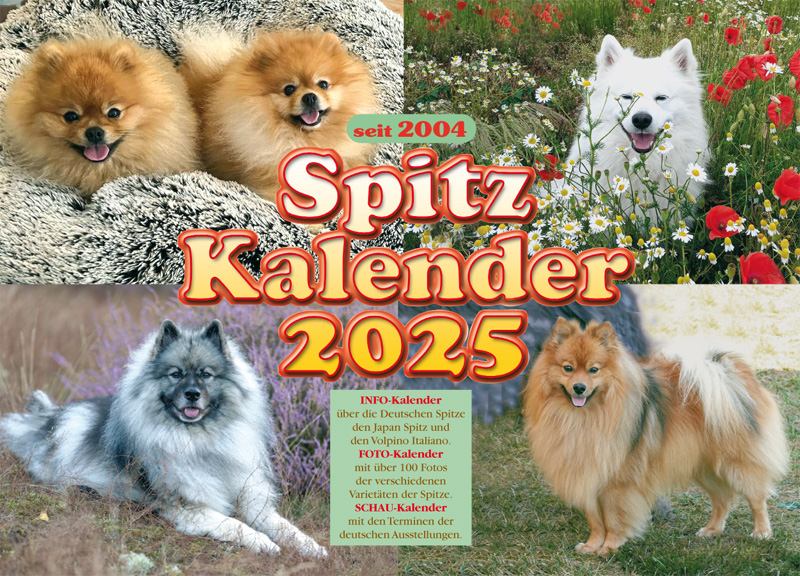 Spitz Kalender 2025