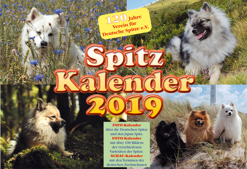 Spitze Kalender 2019