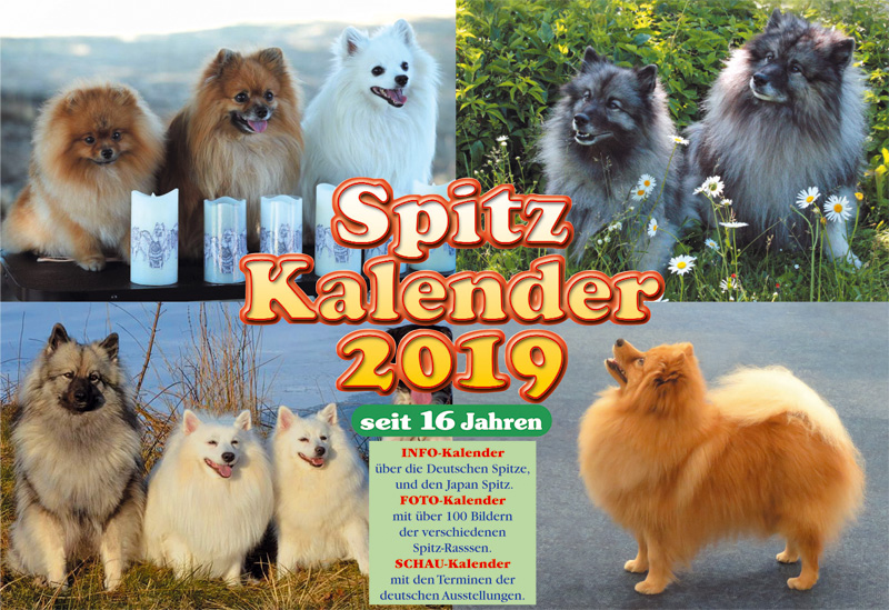 Spitze Kalender 2019