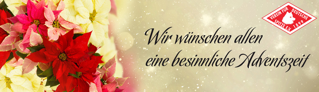 Wir wnschen allen eine besinnliche Adventszeit